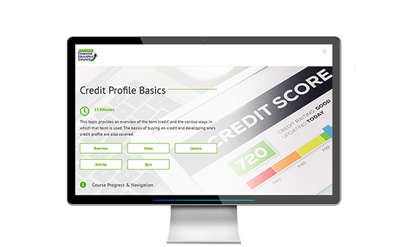 Online Financial Literacy Program for the Michigan Financial Educators Council